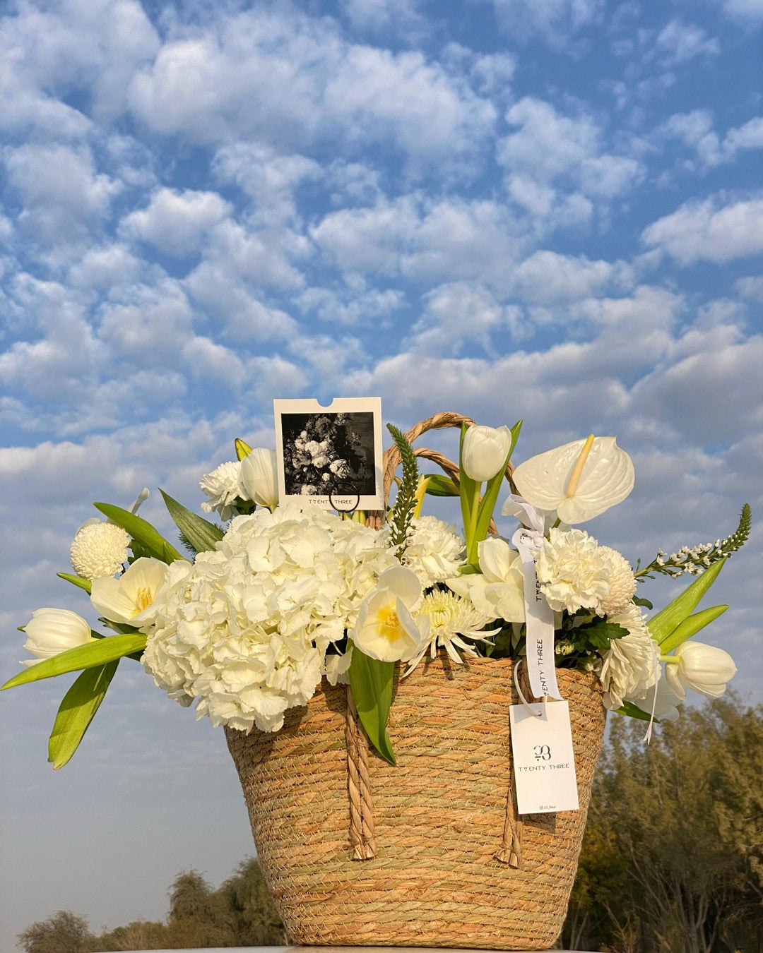 White Hydrangea Basket - Twenty Three Flowers & Chocolate